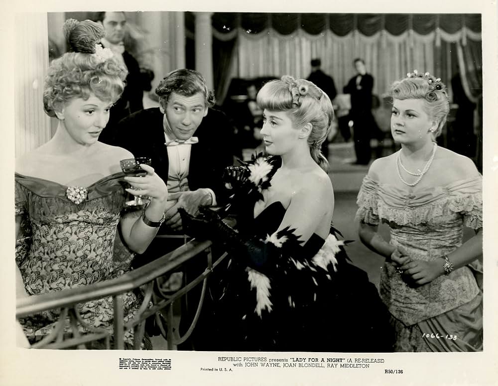 或る夜の貴婦人の写真