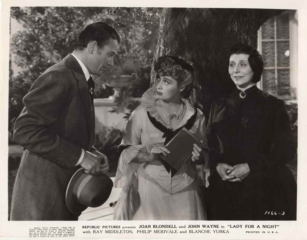 或る夜の貴婦人の画像