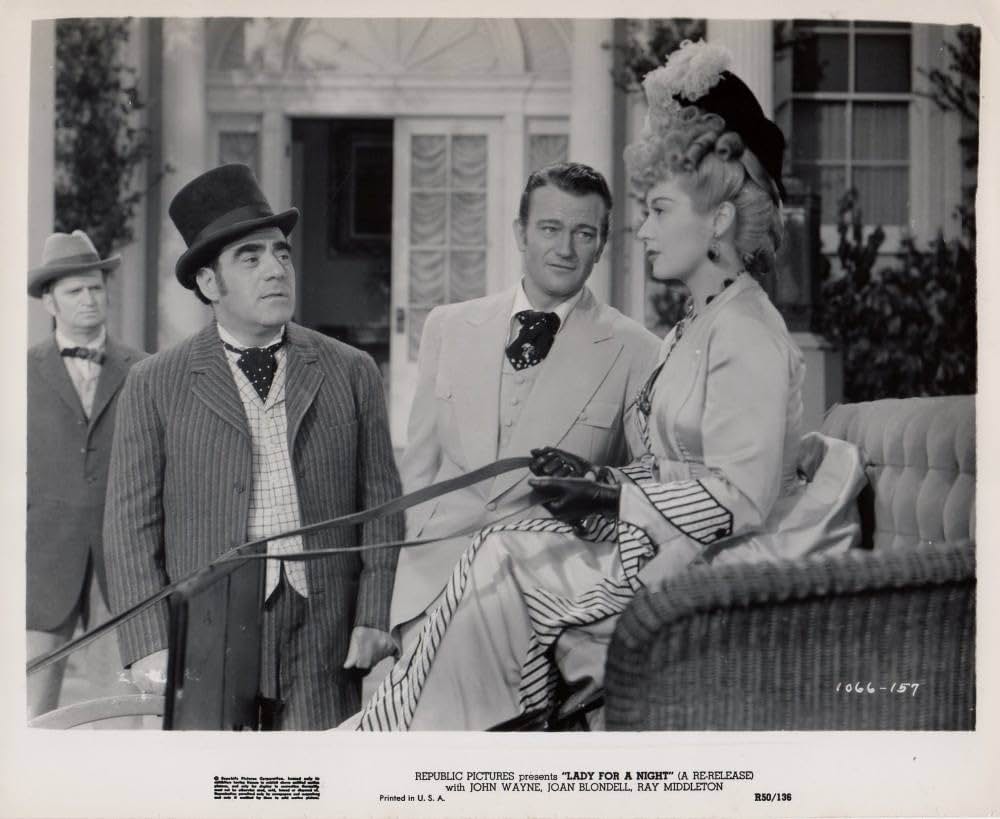 或る夜の貴婦人の画像