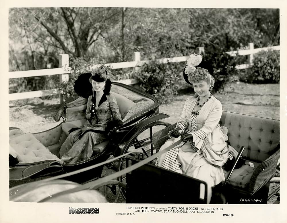 或る夜の貴婦人の画像