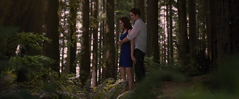 トワイライト・サーガ ブレイキング・ドーン Part 2の画像