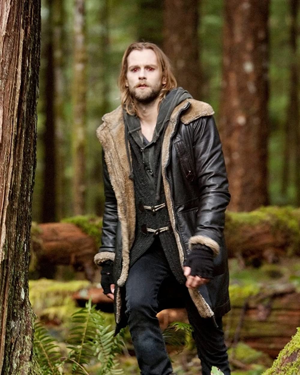 トワイライト・サーガ ブレイキング・ドーン Part 2の画像