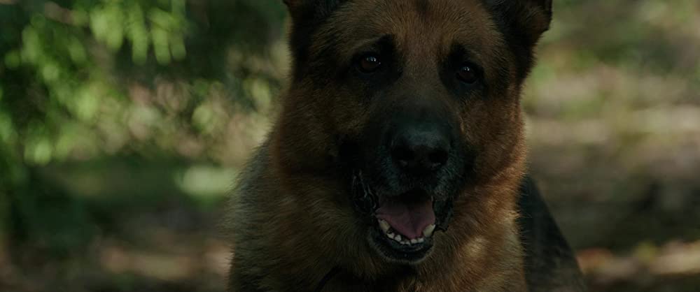 ザ・ボーイ ~残虐人形遊戯~の画像