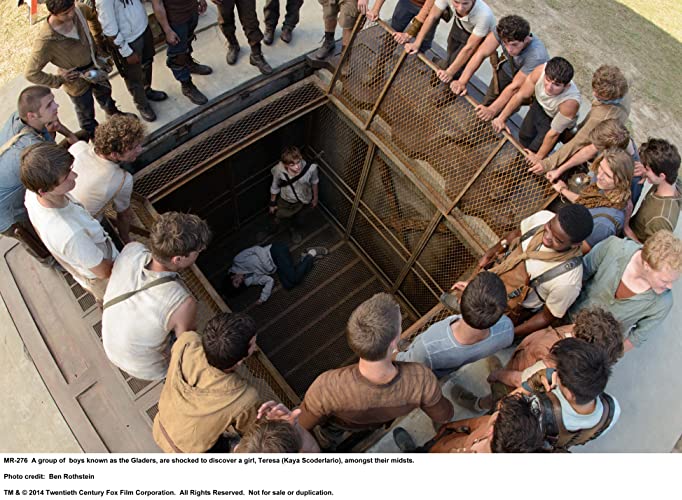 メイズ・ランナーの画像