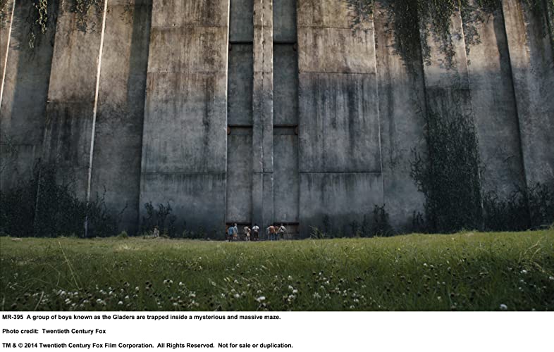 メイズ・ランナーの画像
