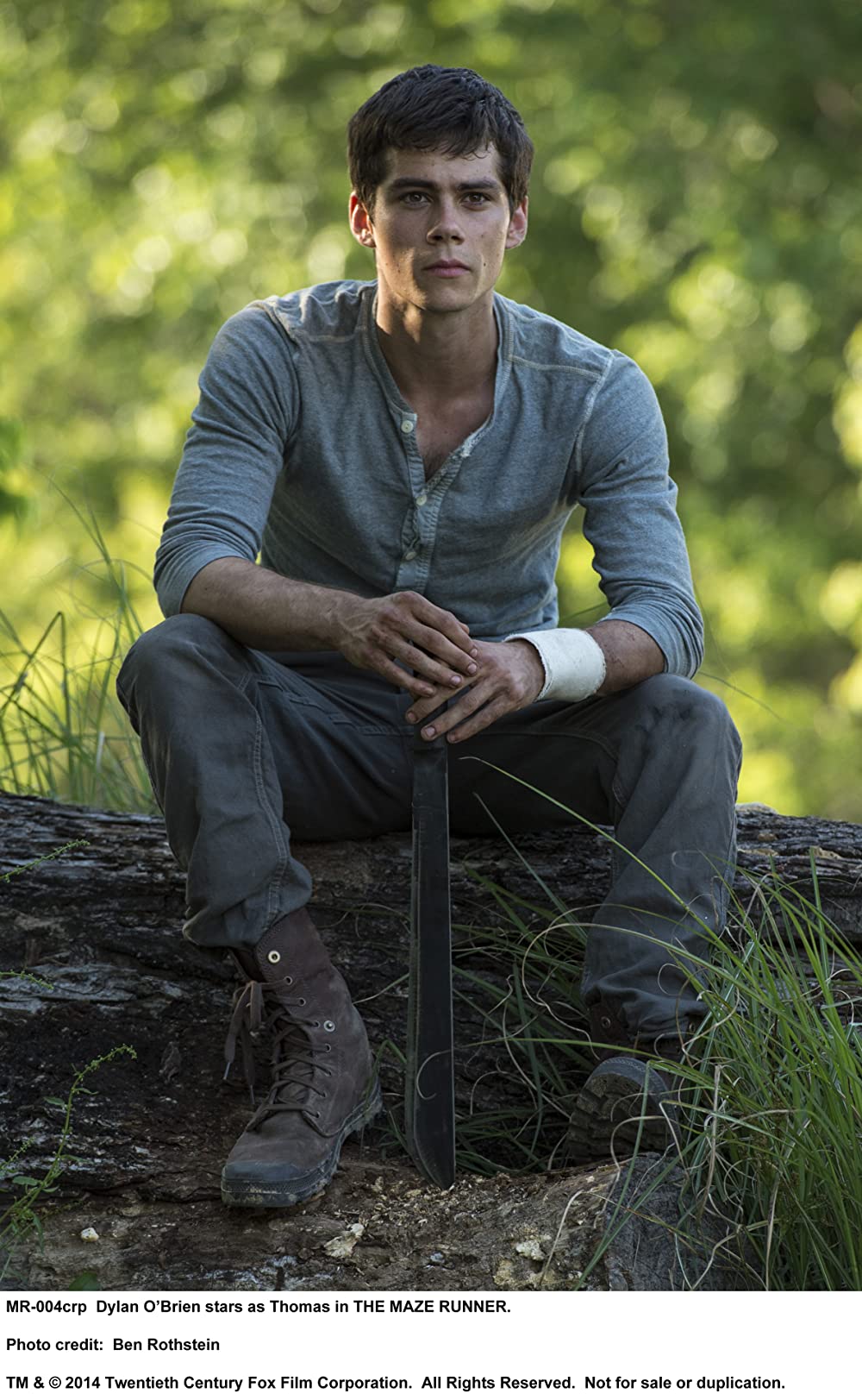 「メイズ・ランナー」ディラン・オブライエンの画像