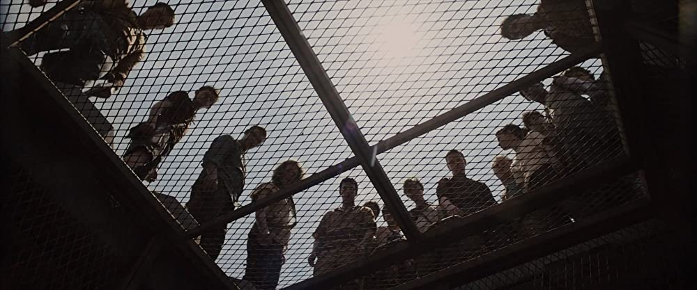 メイズ・ランナーの画像