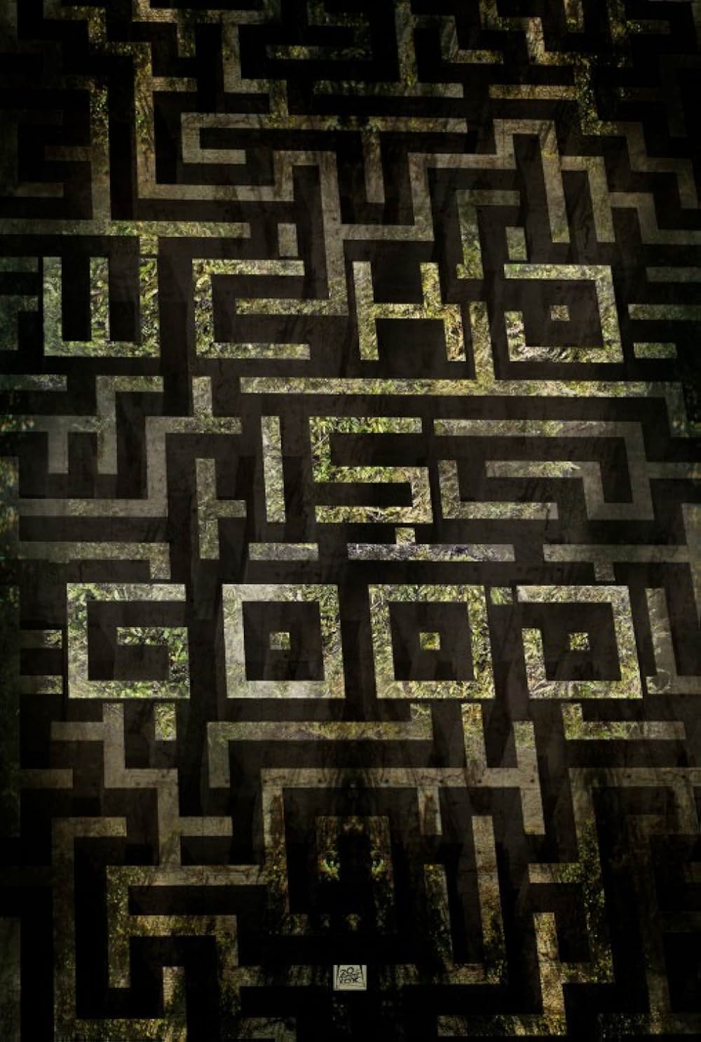 メイズ・ランナーの画像