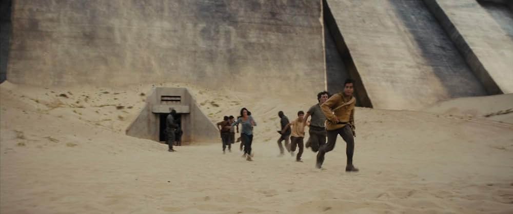 メイズ・ランナーの画像