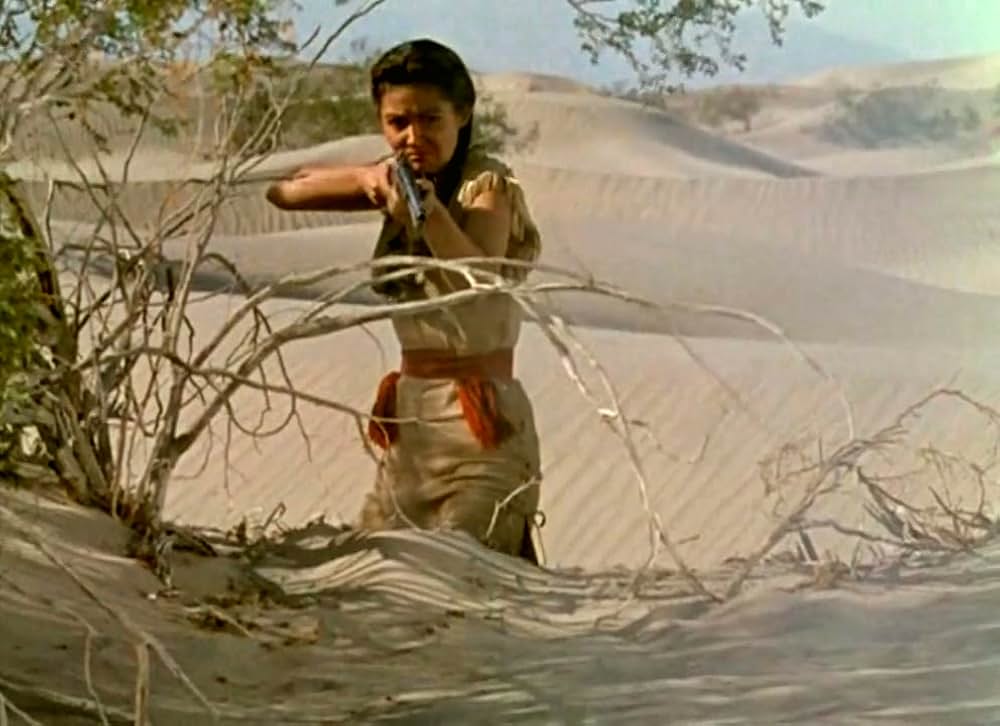 騎兵隊突撃の画像