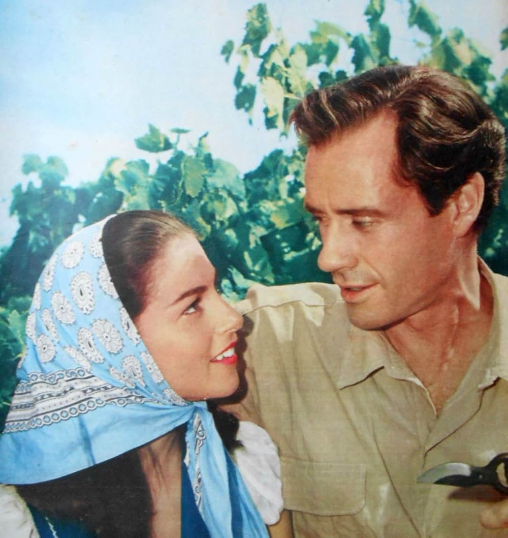 葡萄の季節の画像