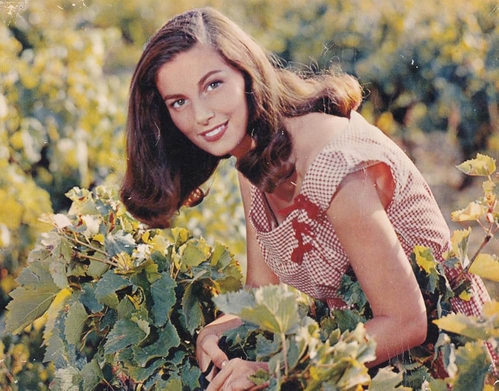 葡萄の季節の画像