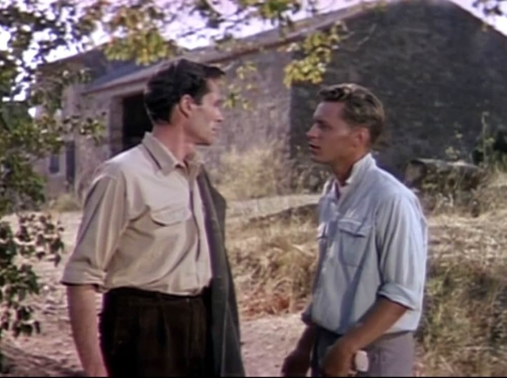 葡萄の季節の画像