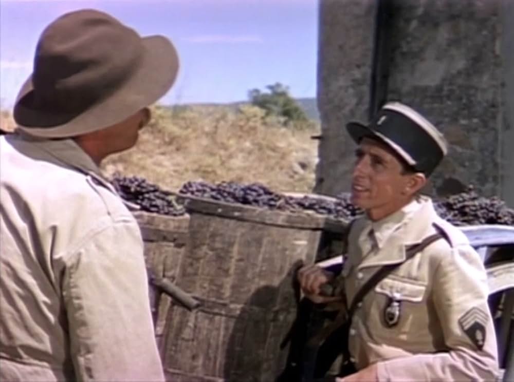 葡萄の季節の画像