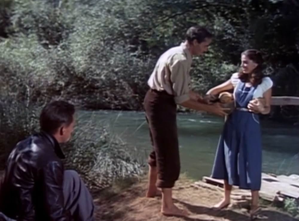 葡萄の季節の画像