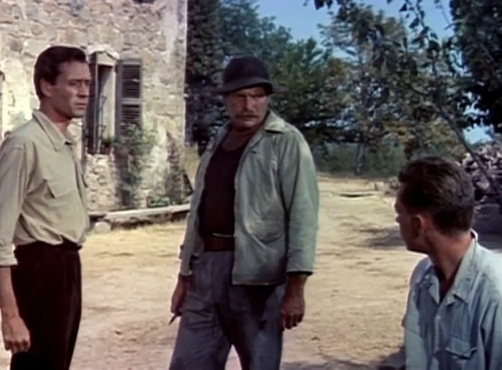 葡萄の季節の画像