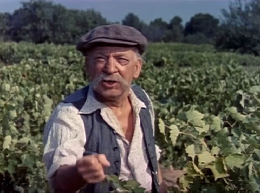 葡萄の季節の画像