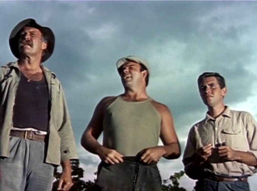 葡萄の季節の画像