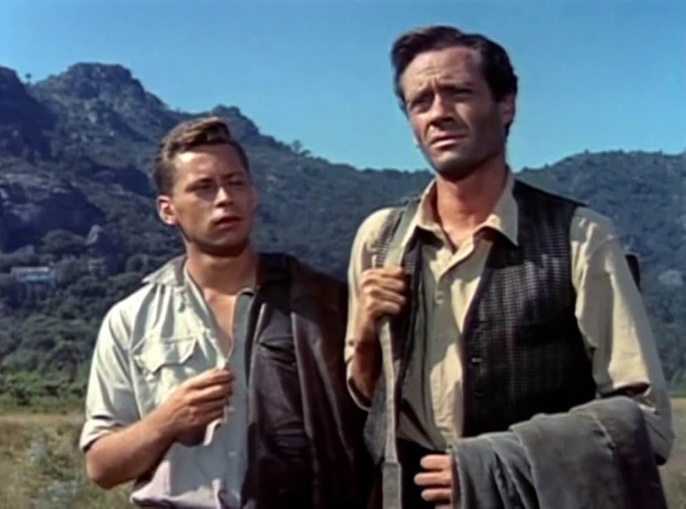 葡萄の季節の画像