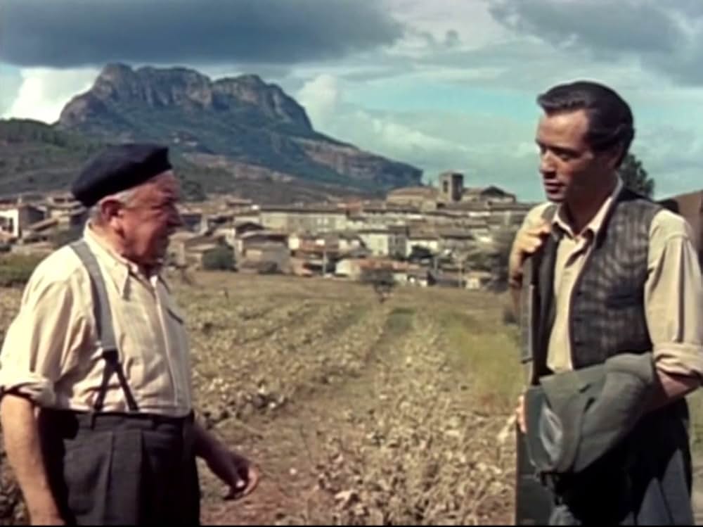 葡萄の季節の画像