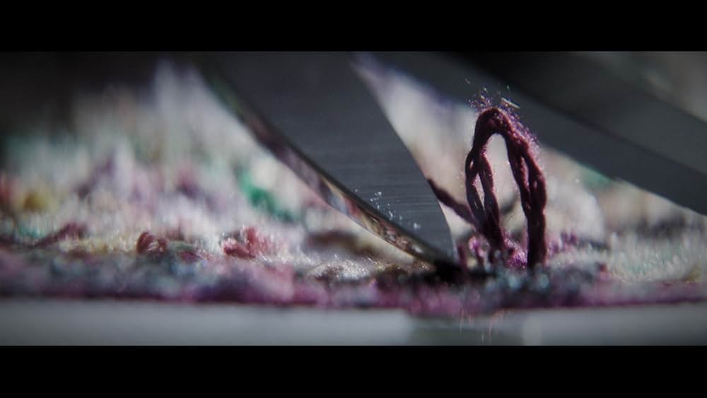 ワイルドカードの画像