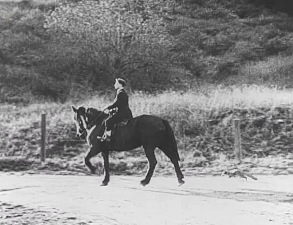 キートンのハード・ラック／悪運の画像