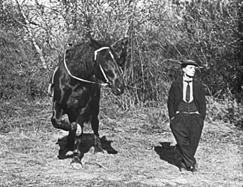 キートンのハード・ラック／悪運の画像