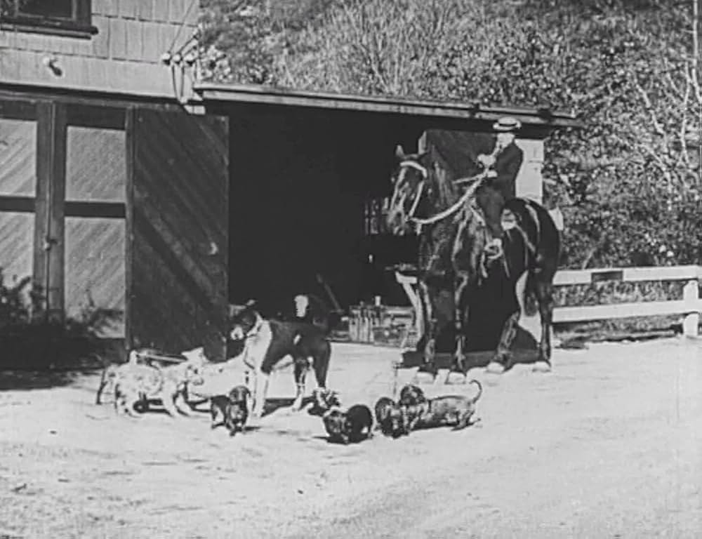 キートンのハード・ラック／悪運の画像