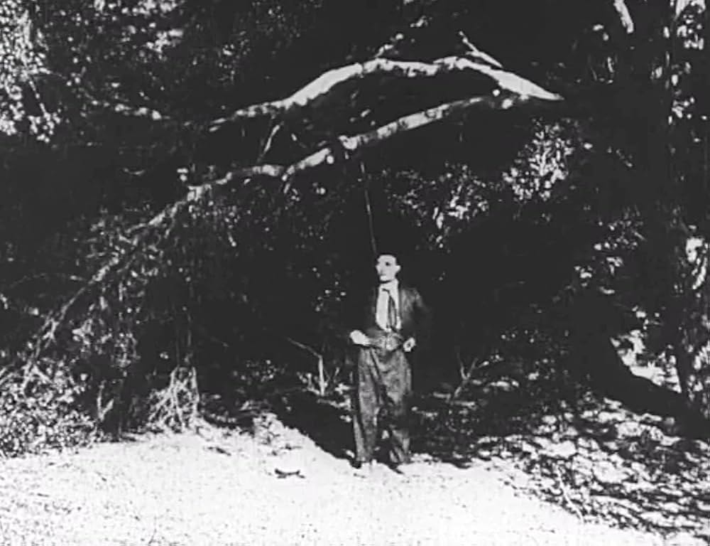 キートンのハード・ラック／悪運の画像