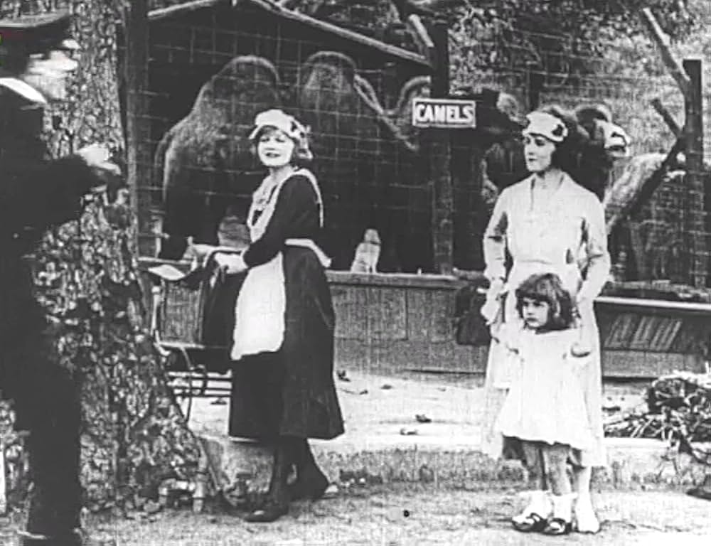 キートンのハード・ラック／悪運の画像