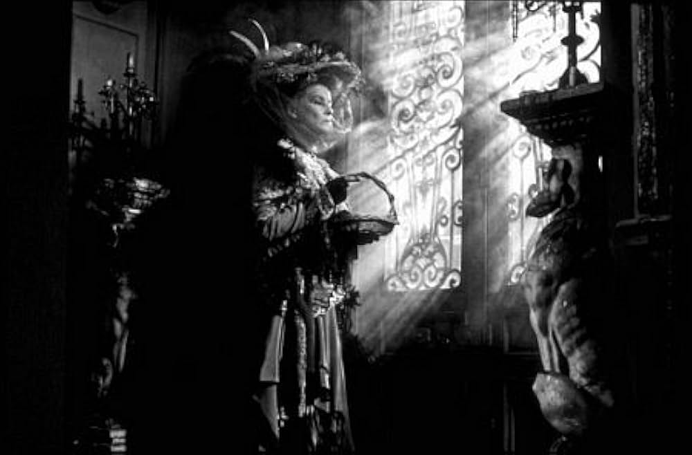 シャイヨの伯爵夫人の画像