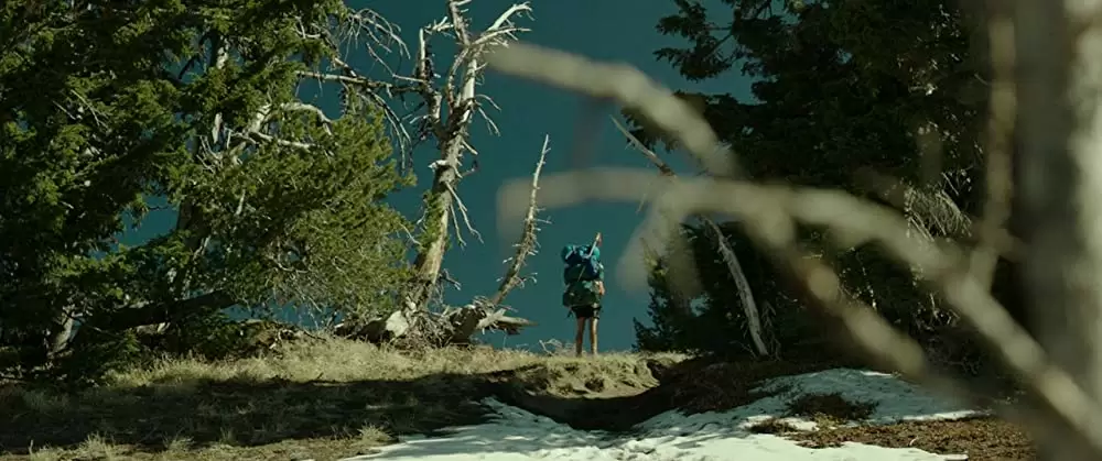 「わたしに会うまでの1600キロ」リース・ウィザースプーンの画像