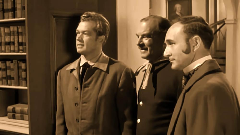 必殺の連発銃の画像