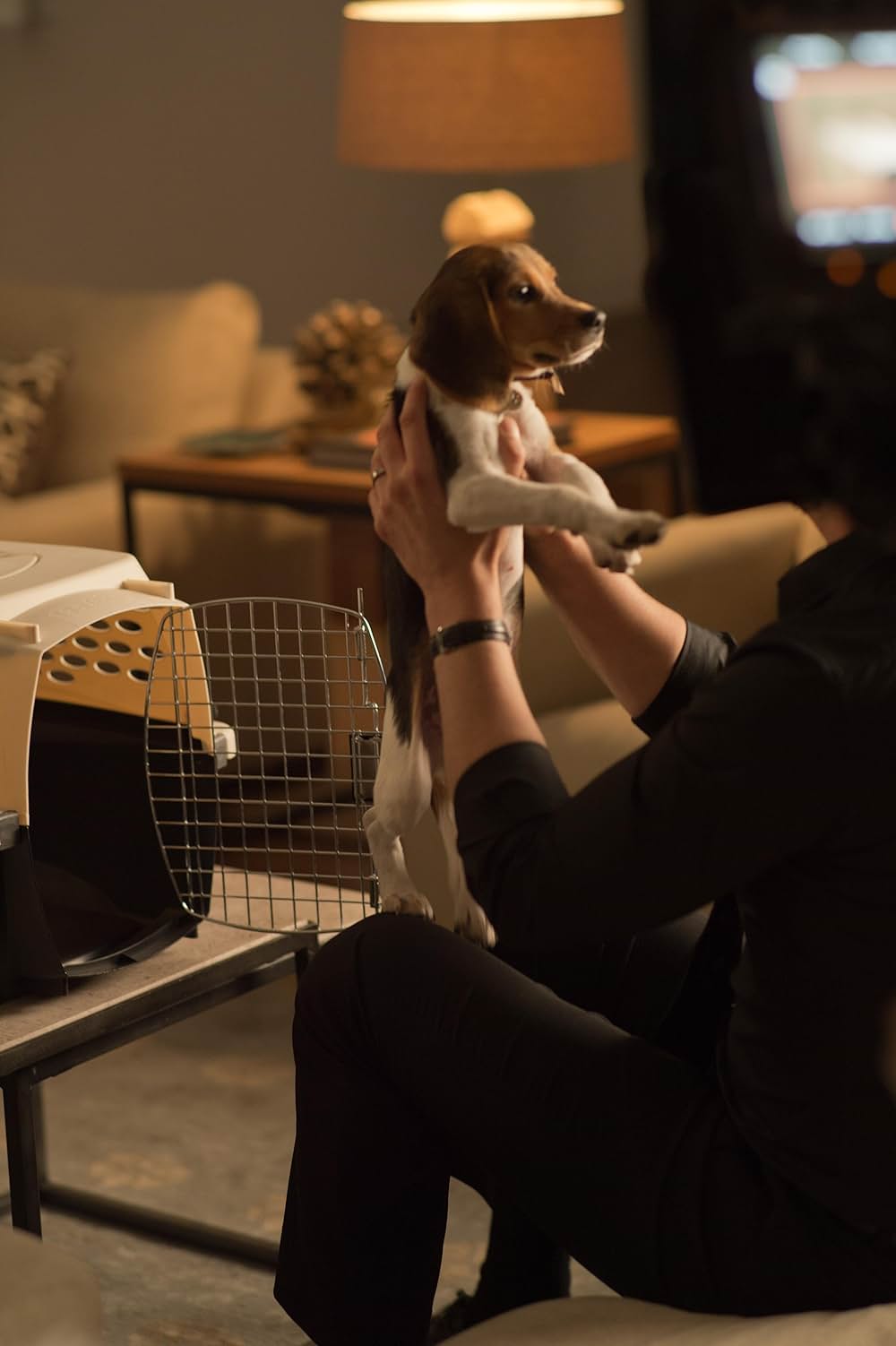 「ジョン・ウィック」の画像