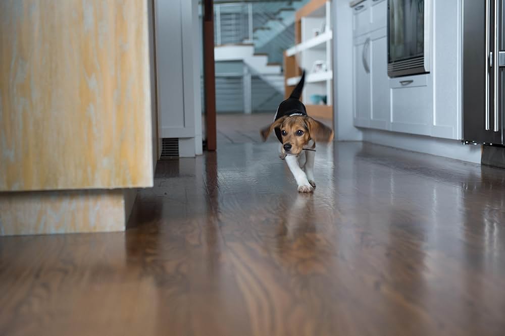 「ジョン・ウィック」の画像