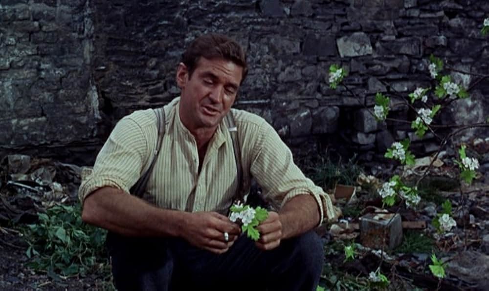 若き日のキャシディの画像