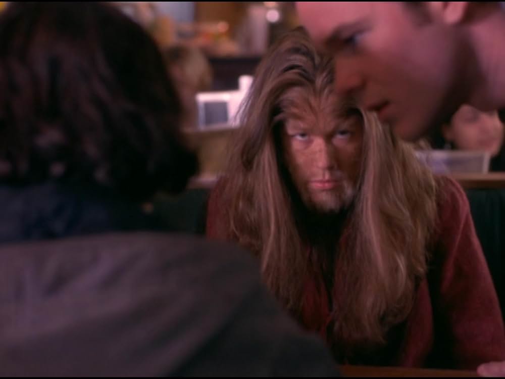 ザ・ウルフの画像