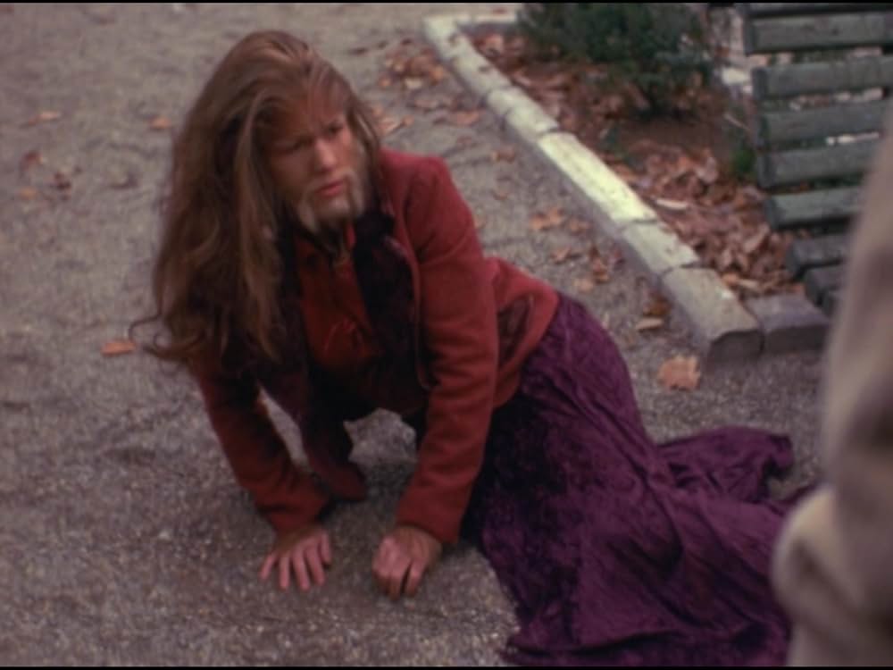 ザ・ウルフの画像