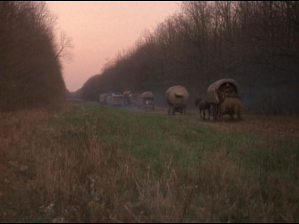 ザ・ウルフの画像