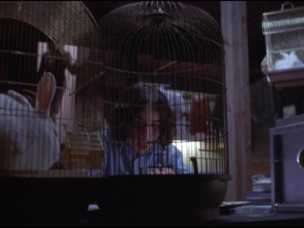 ザ・ウルフの画像