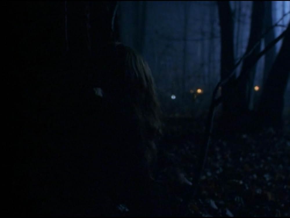 ザ・ウルフの画像