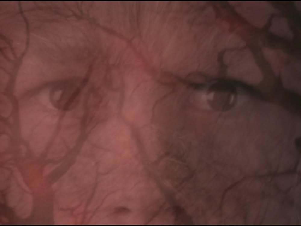 ザ・ウルフの画像