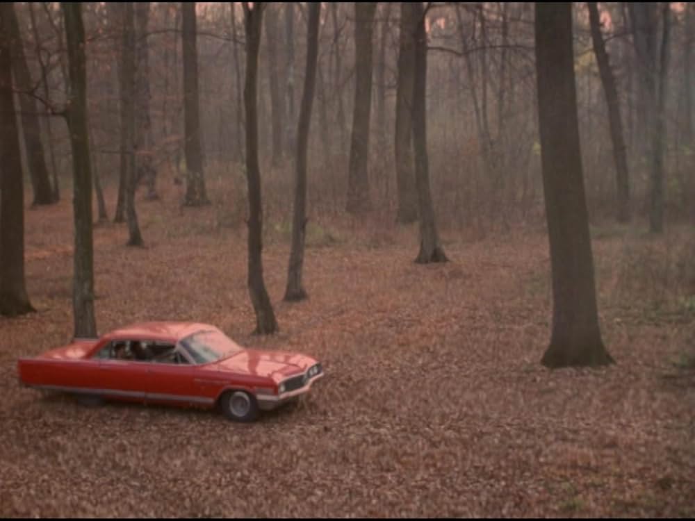 ザ・ウルフの画像