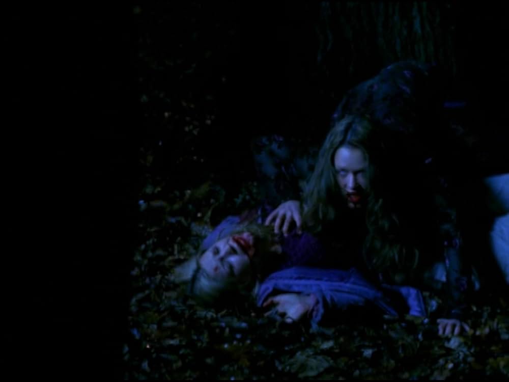 ザ・ウルフの画像