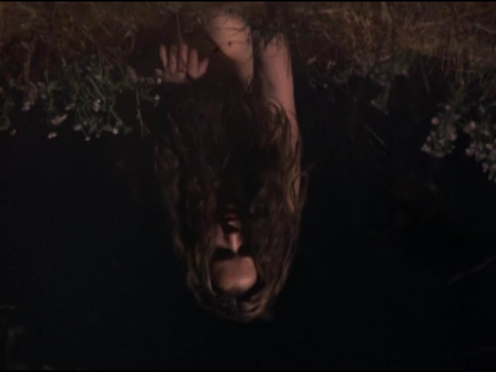 ザ・ウルフの画像