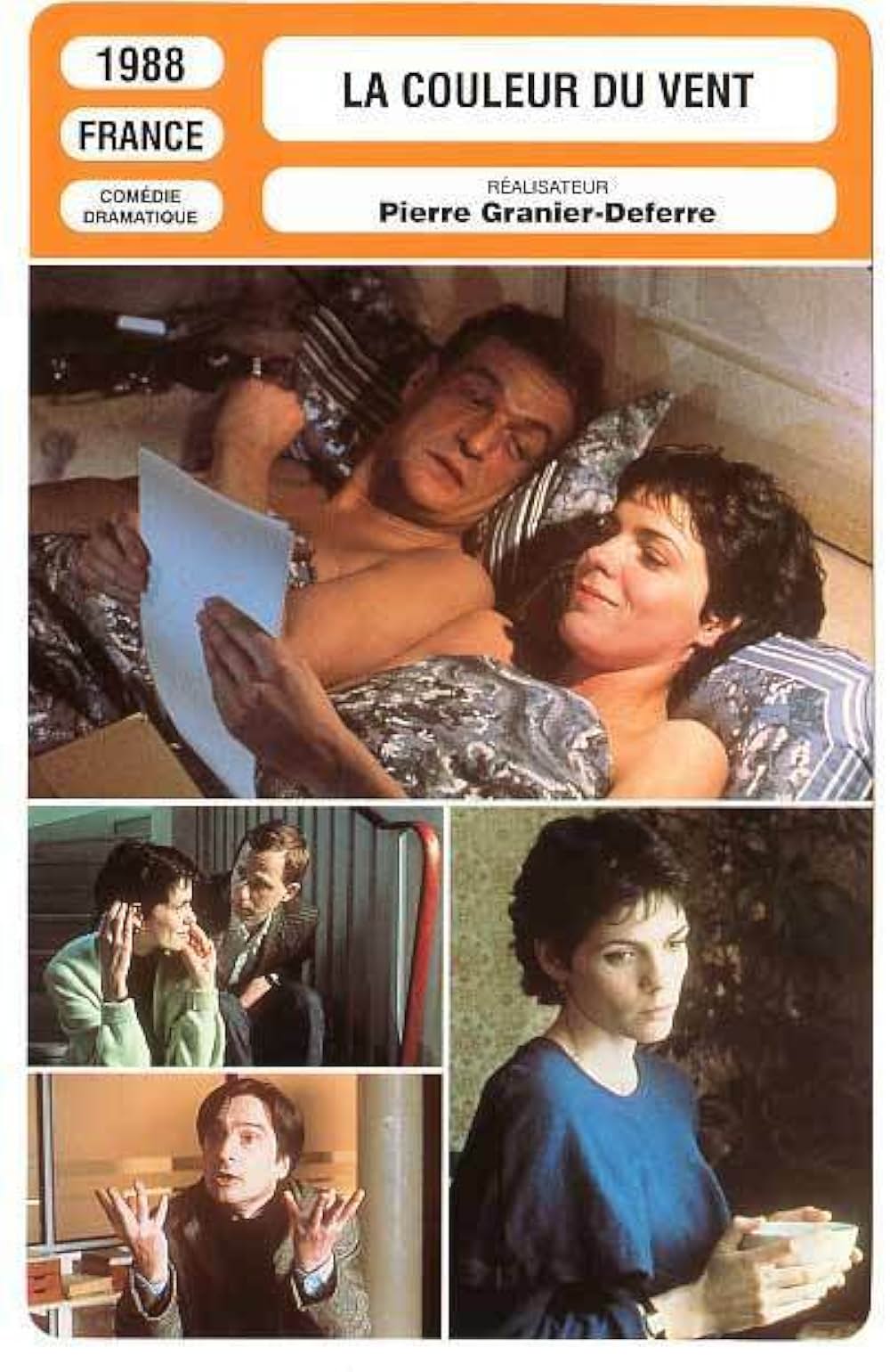 誰かが知っているの写真