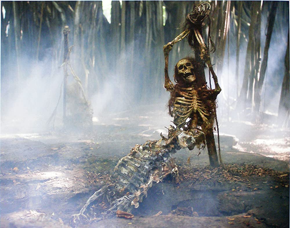 パイレーツ・オブ・カリビアン／生命（いのち）の泉の画像