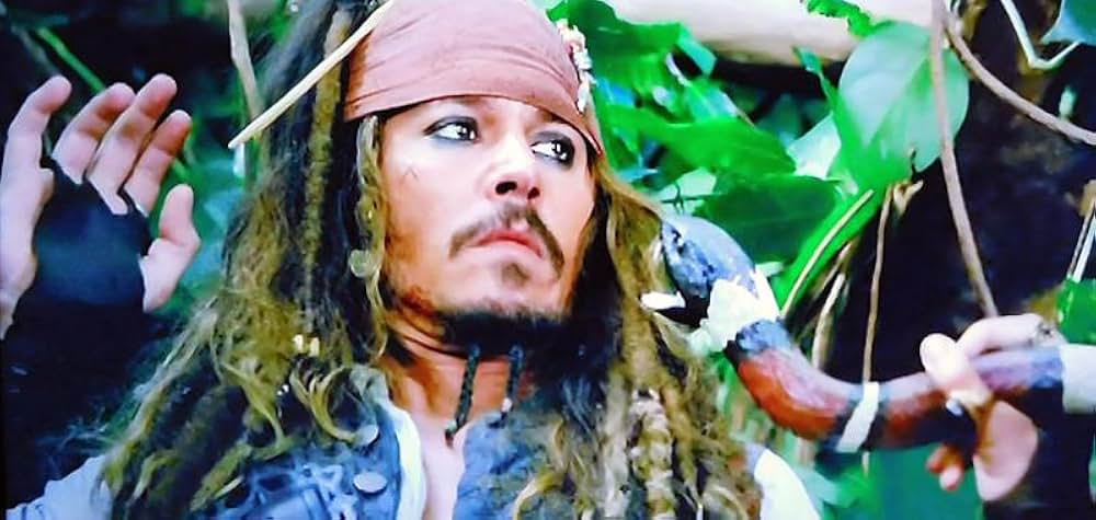 パイレーツ・オブ・カリビアン／生命（いのち）の泉の画像