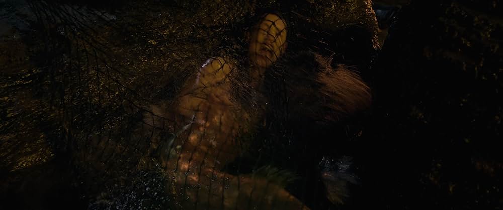 パイレーツ・オブ・カリビアン／生命（いのち）の泉の画像