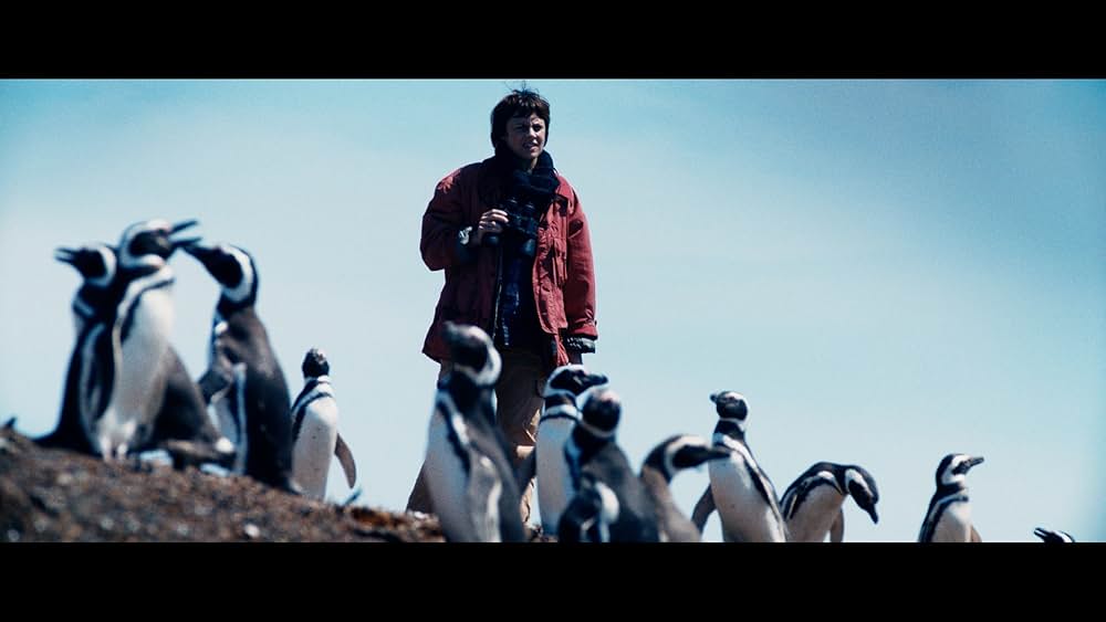 My Penguin Friend（原題）の画像